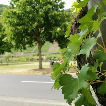 Moselblick