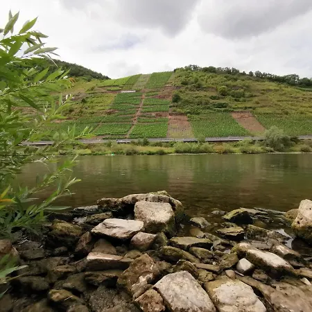 Moselblick * Bruttig-Fankel