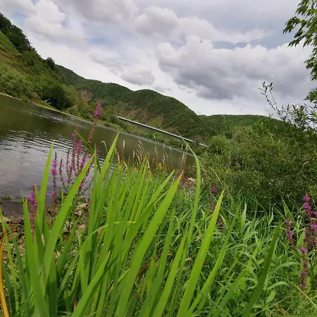 Moselblick Bruttig-Fankel