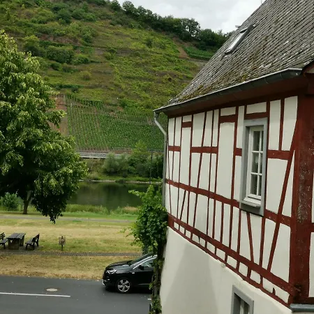 Moselblick *