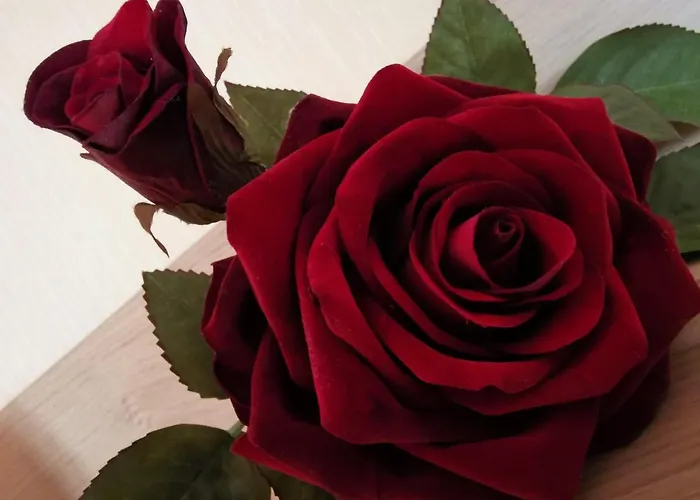 Appartement Moselblick