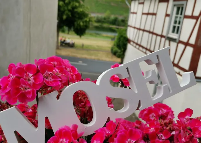 Apartment Moselblick