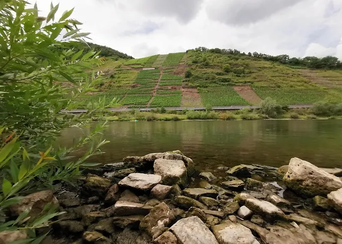 Moselblick * Bruttig-Fankel