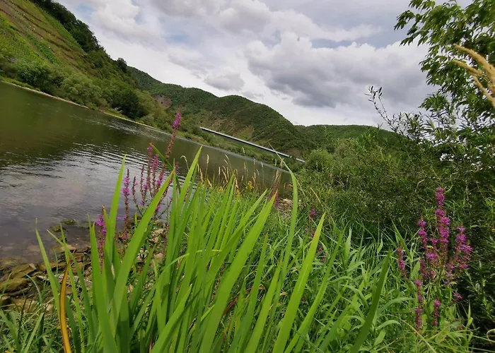 Moselblick Bruttig-Fankel