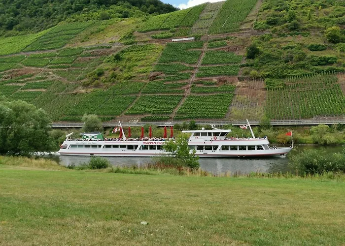Moselblick Apartment Bruttig-Fankel